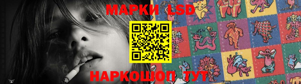 Лсд 25 экстази кислота  blacksprut как войти  Лсд 25 экстази ecstasy  Нижний Новгород  Вход с VPN 